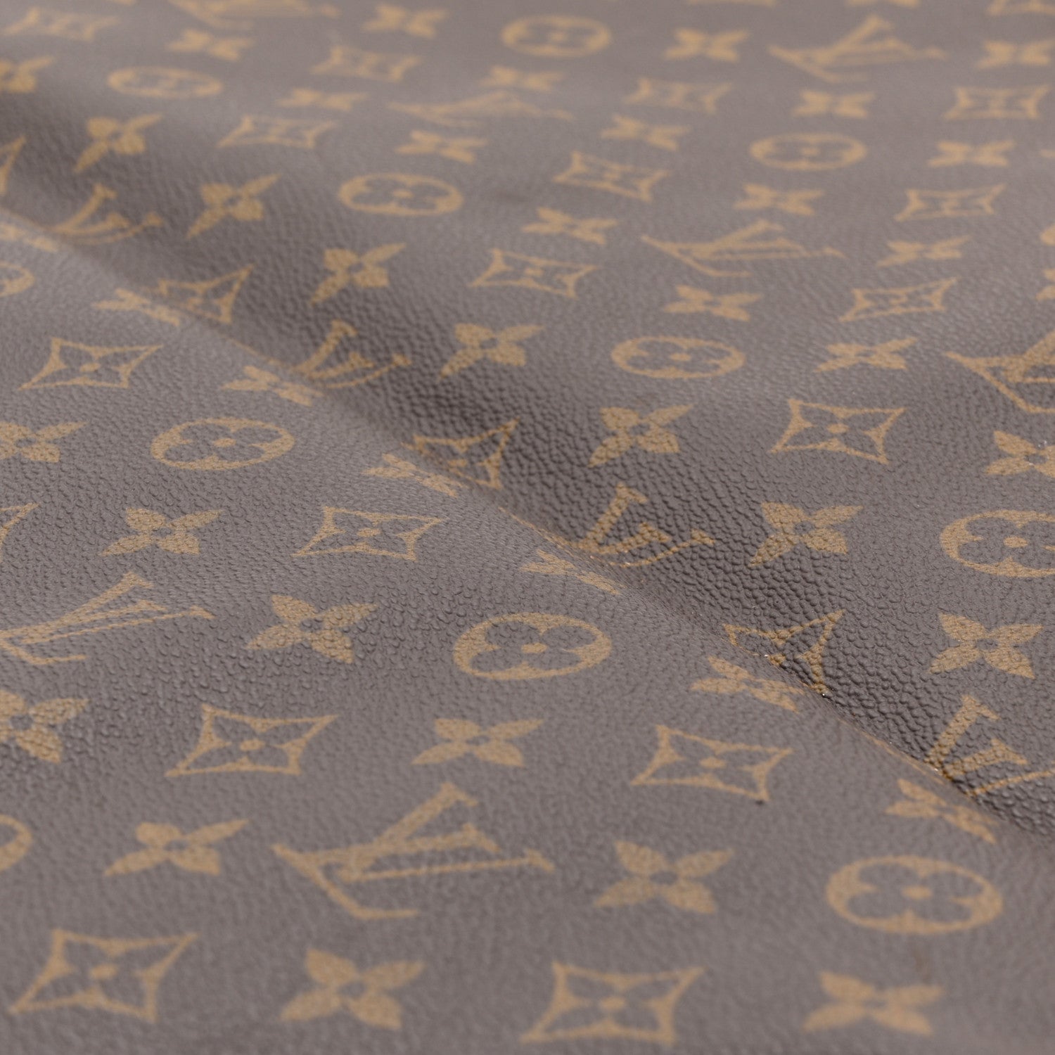 Monogram Garment Cover