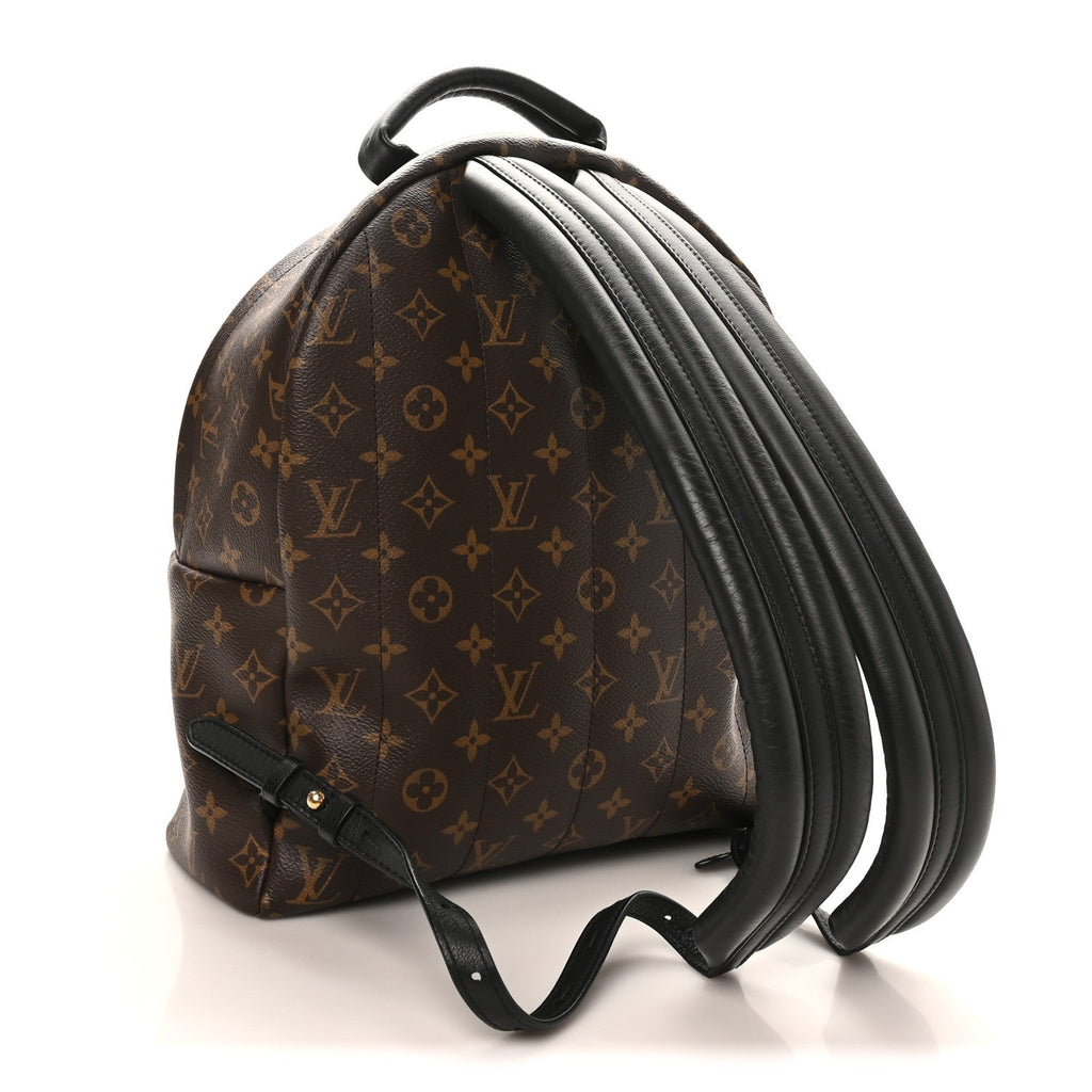 Monogram Palm Springs Backpack MM