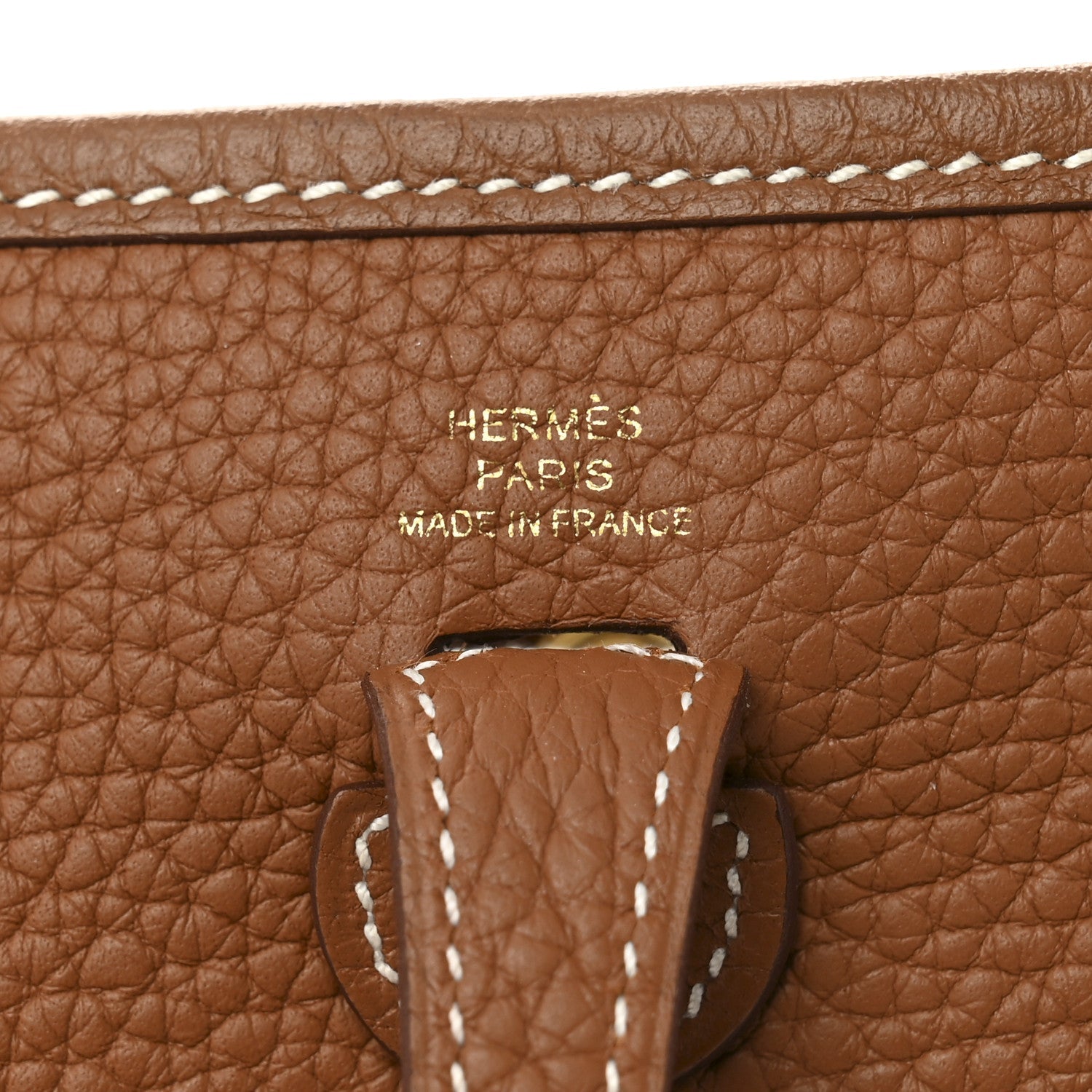 Taurillon Maurice Amazone Evelyne TPM Gold White