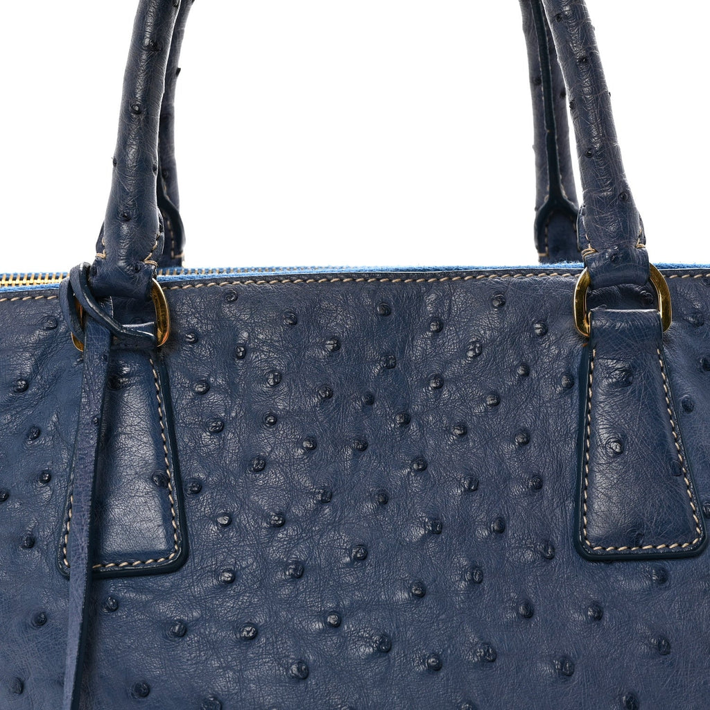 Ostrich Medium Galleria Double Zip Tote Cobalto