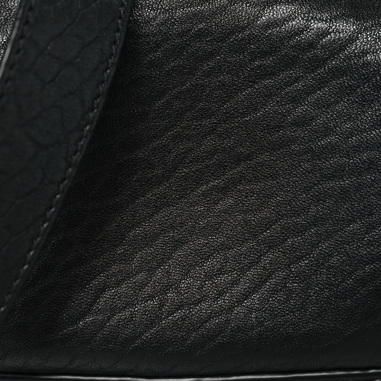 Primal Lambskin Mini Ricco Shoulder Bag Black