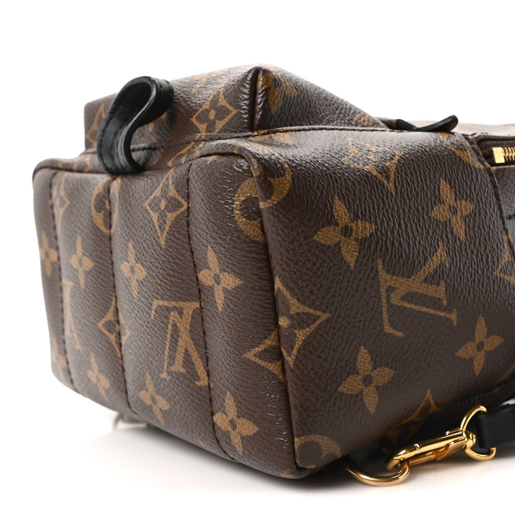 Monogram Palm Springs Backpack Mini