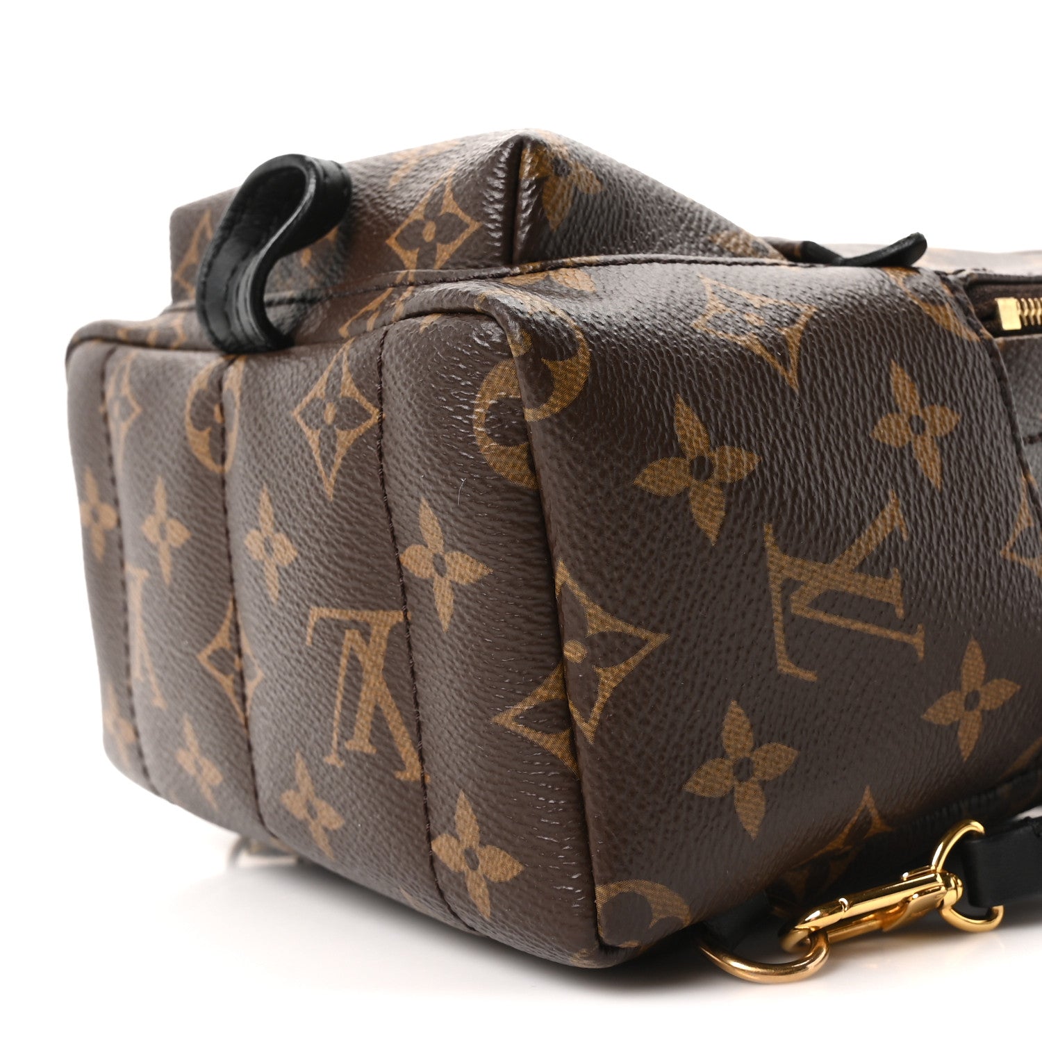 Monogram Palm Springs Backpack Mini