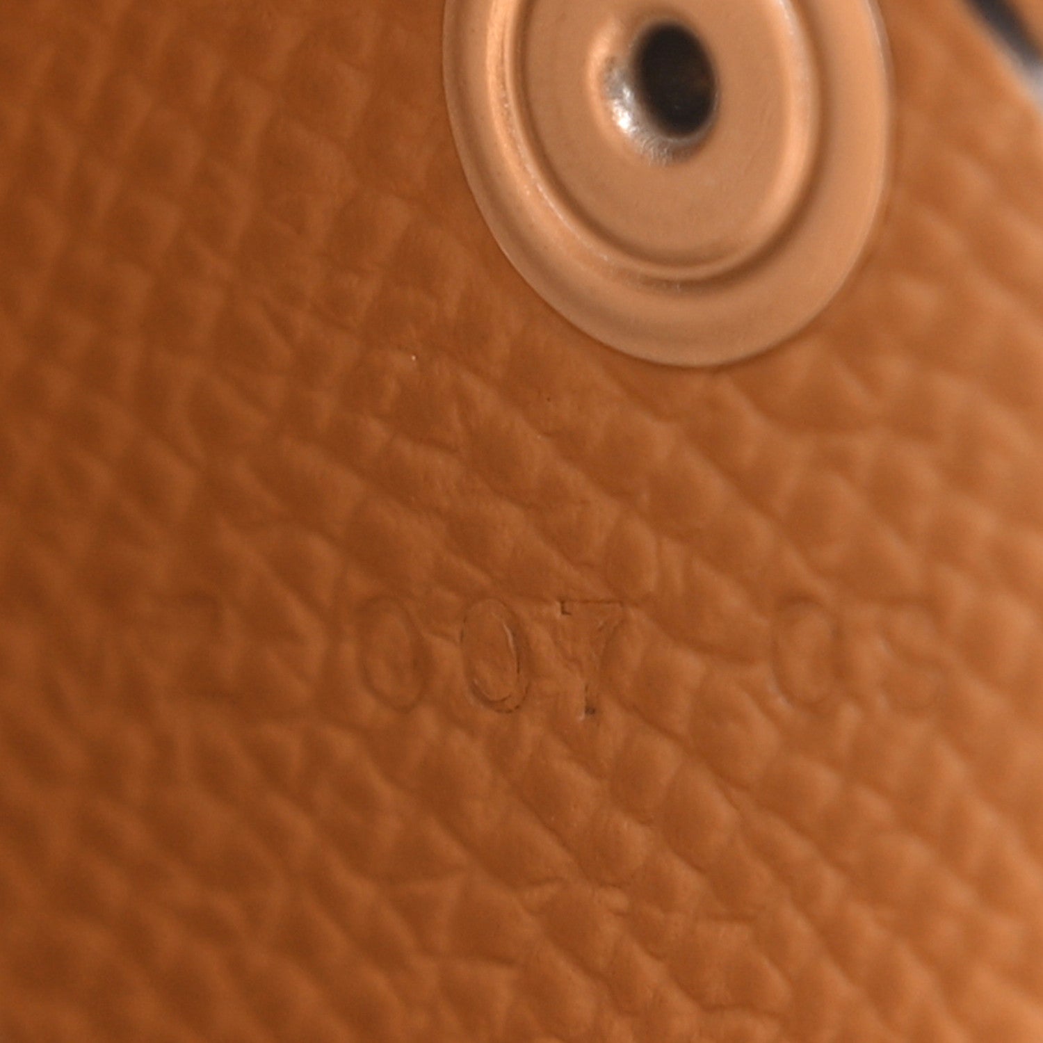 Epsom Verso Calvi  Case Alezan Biscuit