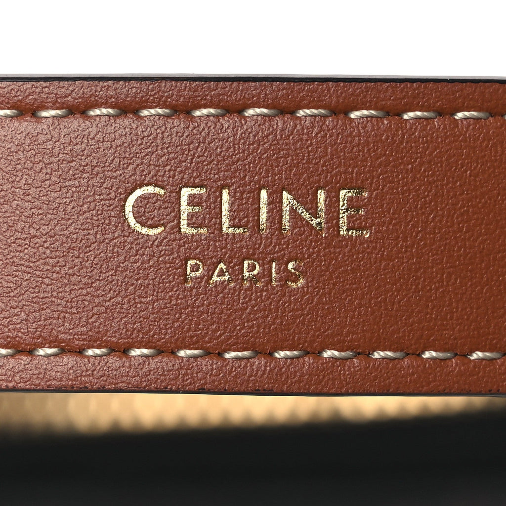 Triomphe Canvas Calfskin Ava Shoulder Bag Tan