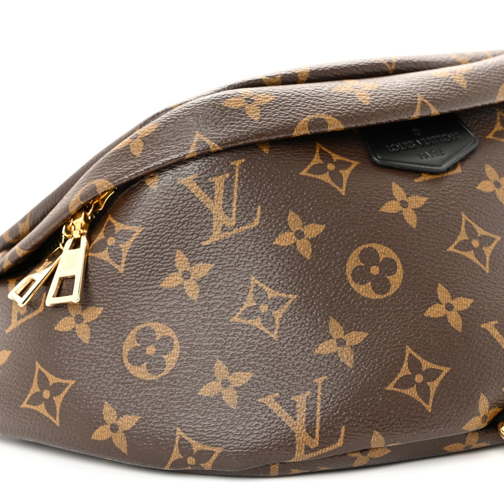 Monogram My LV World Tour Bumbag
