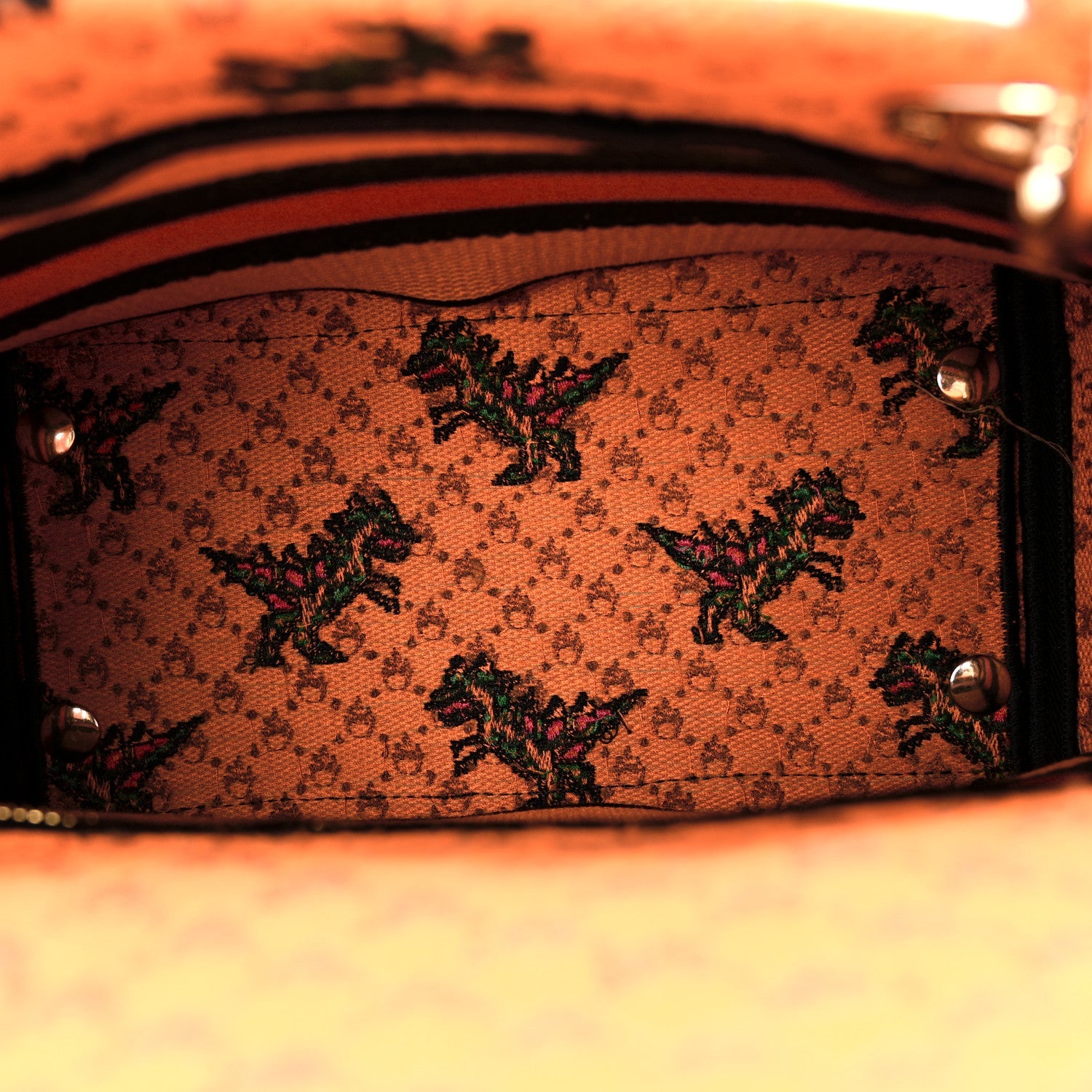 Canvas Embroidered Dino Medium Lady D-Lite Orange Multicolor