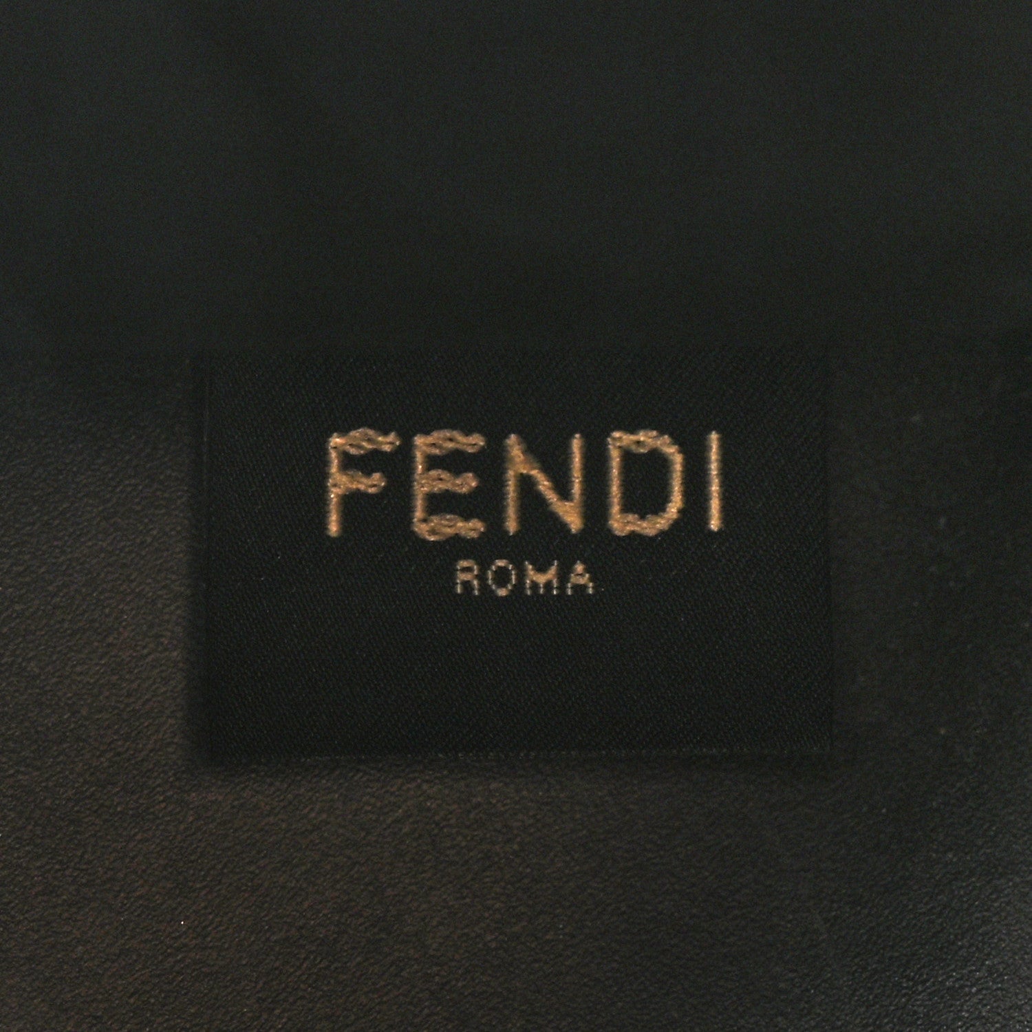 Vitello King Plexiglass Small Fendi Sunshine Shopper Tote Black