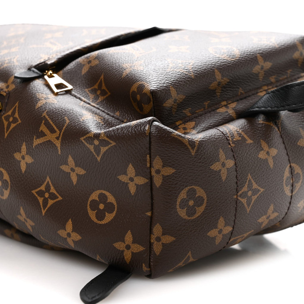 Monogram Palm Springs Backpack PM