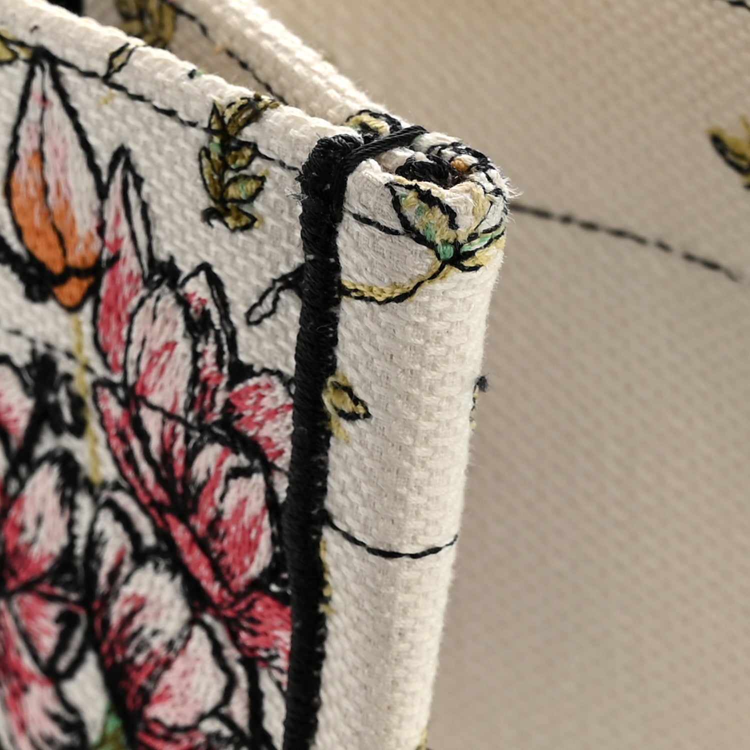 Canvas Embroidered Large D-Constellation Book Tote Latte Multicolor