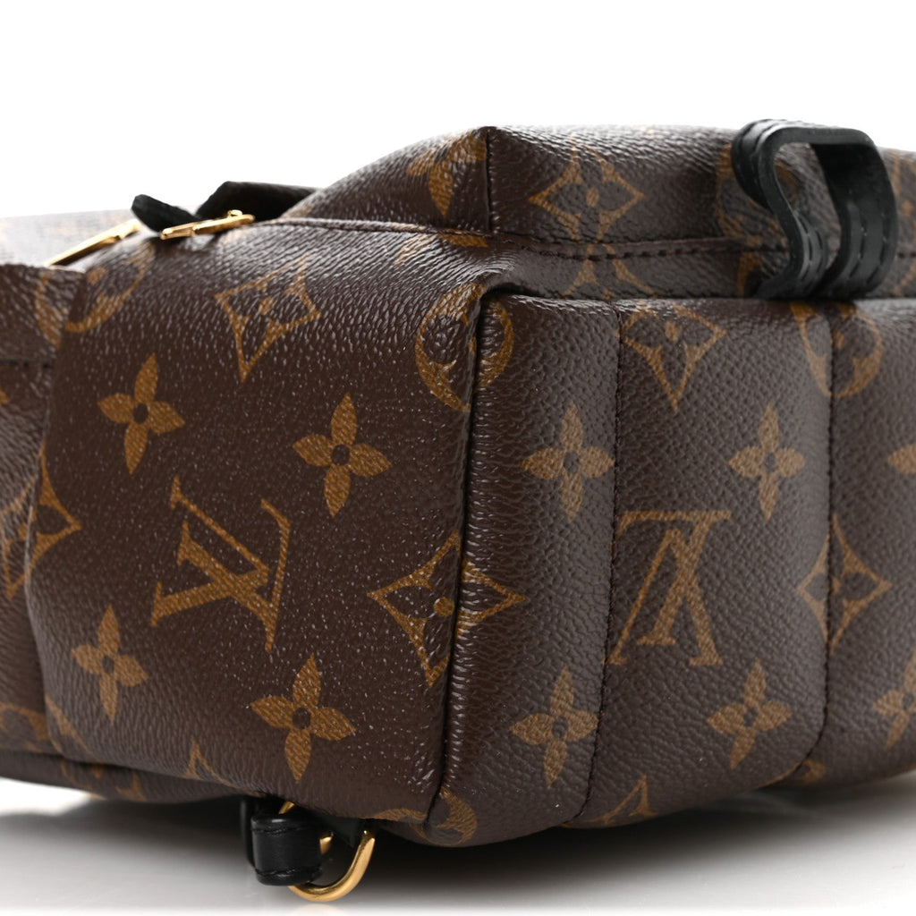 Monogram Palm Springs Backpack Mini