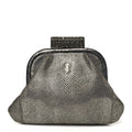 Stingray Degrade Frame Clutch Silver