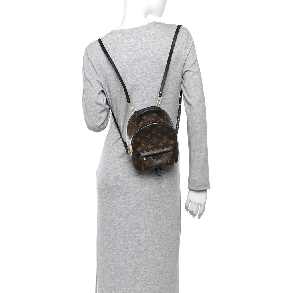 Monogram Palm Springs Backpack Mini