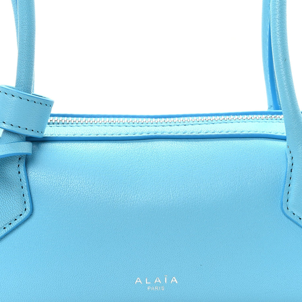 Shiny Goatskin Small Le Teckel Bag Amazonite