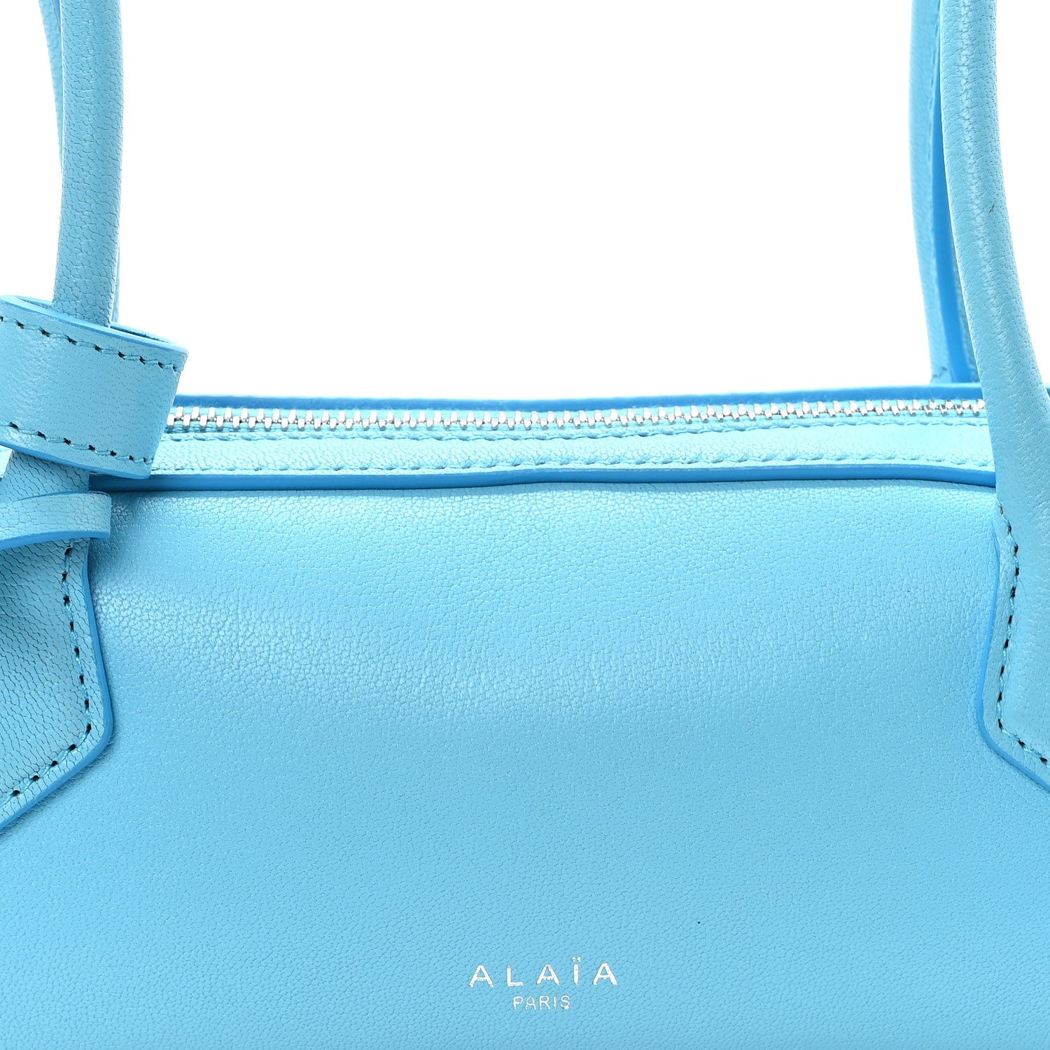 Shiny Goatskin Small Le Teckel Bag Amazonite