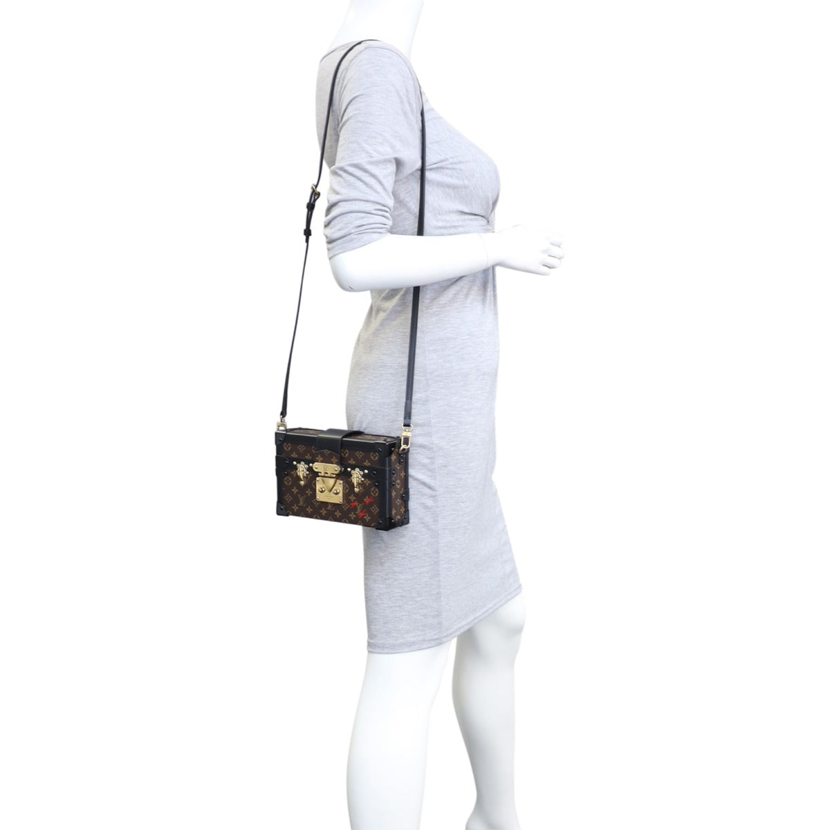 Louis Vuitton Petite Malle Monogram