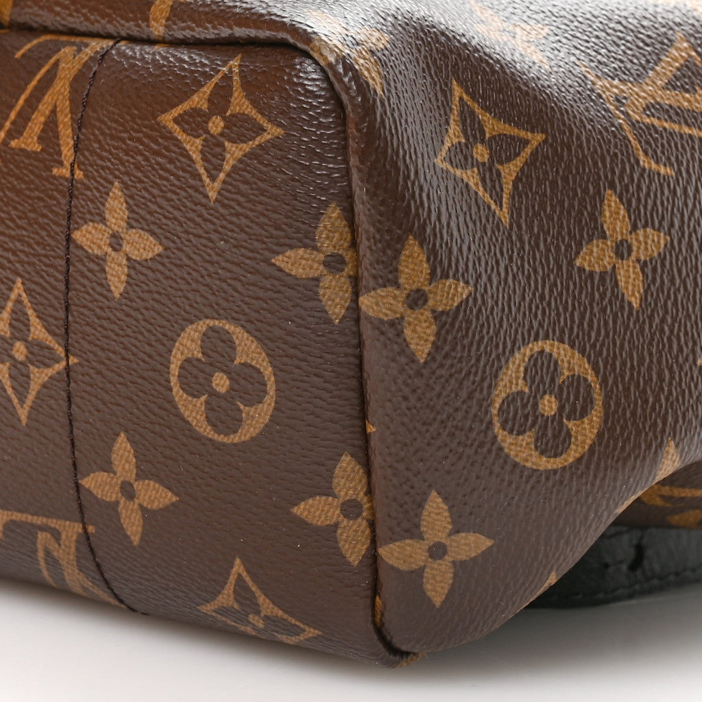 Monogram Palm Springs Backpack PM