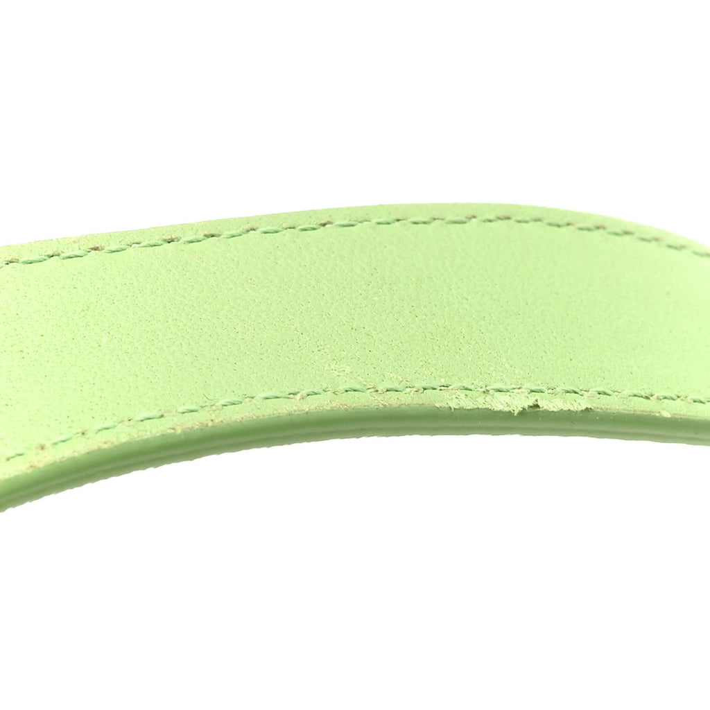 Lambskin Maxi Intrecciato Cassette Crossbody Bag Pistachio
