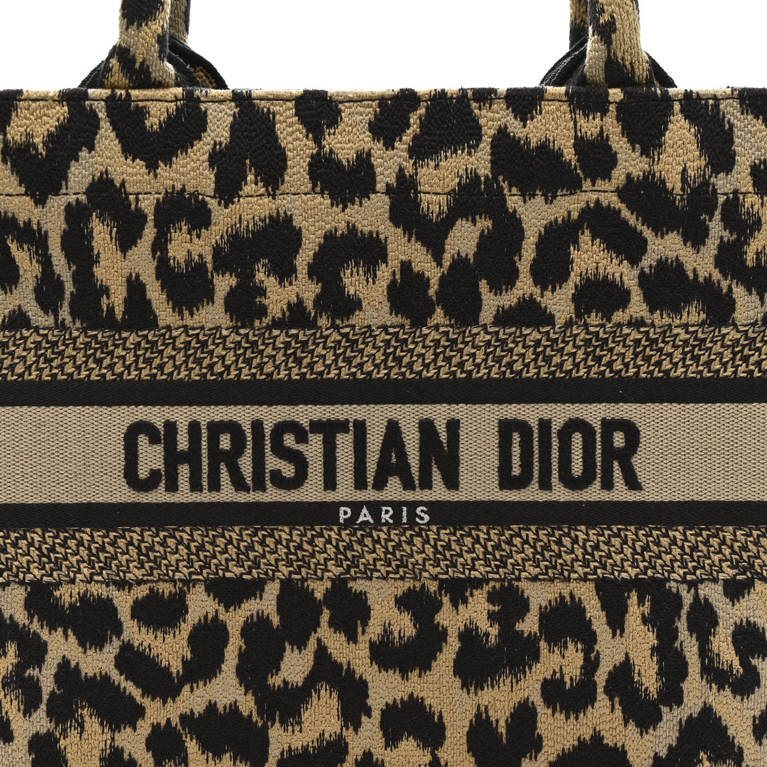 Canvas Mizza Embroidered Small Leopard Book Tote Beige