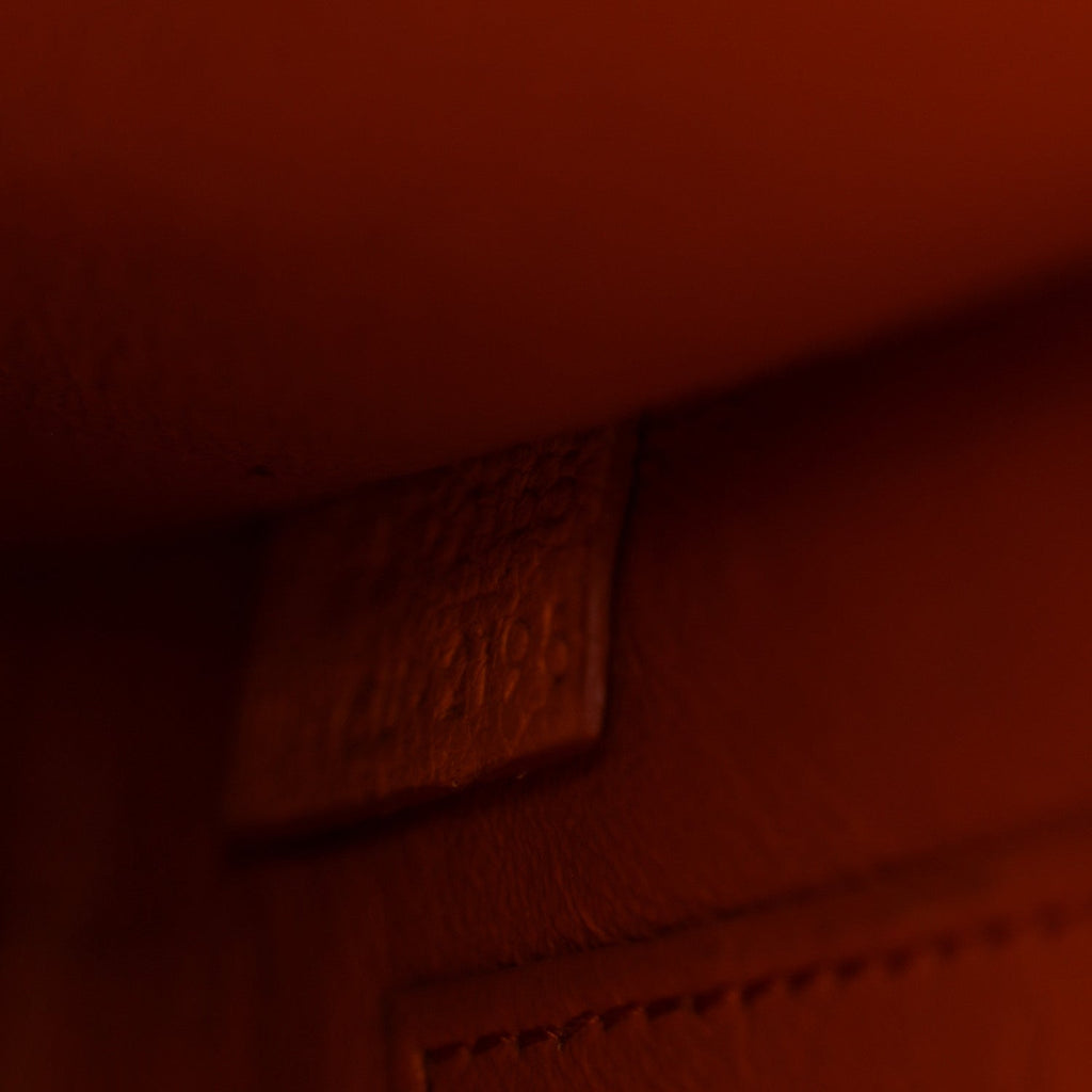 Goatskin Nano Luggage Orange
