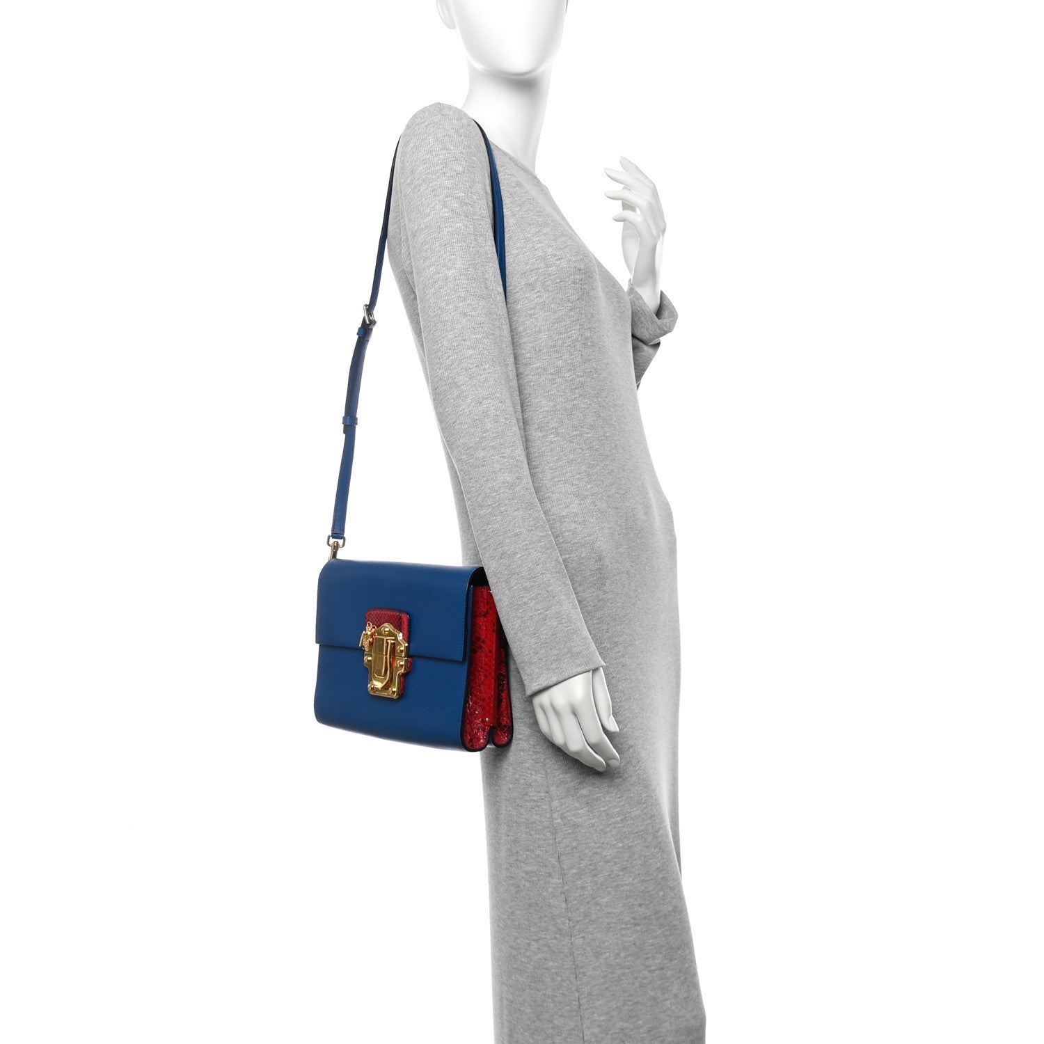 Calfskin Snakeskin Lucia Shoulder Bag Blue Red