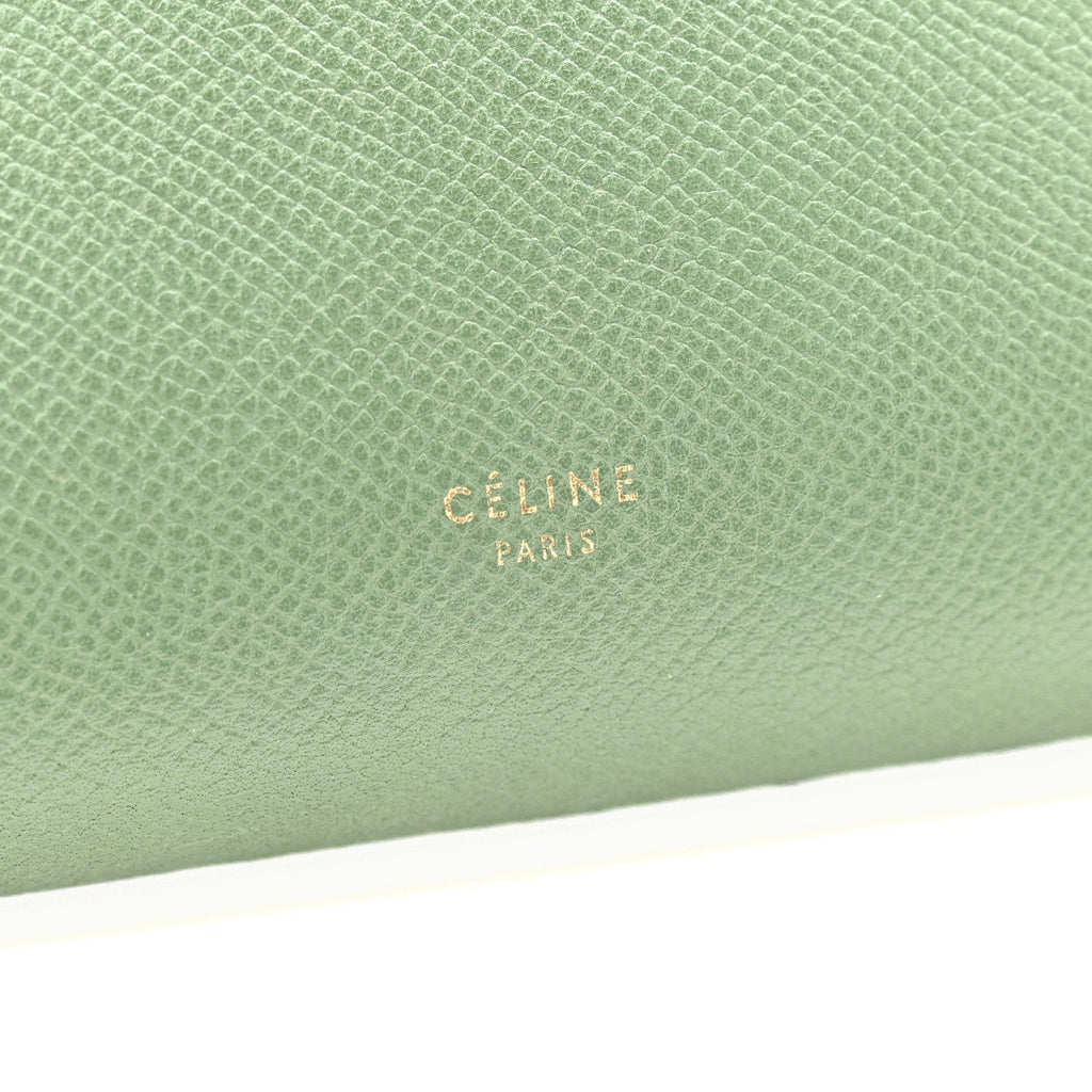 Grained Calfskin Mini Belt Bag Mint