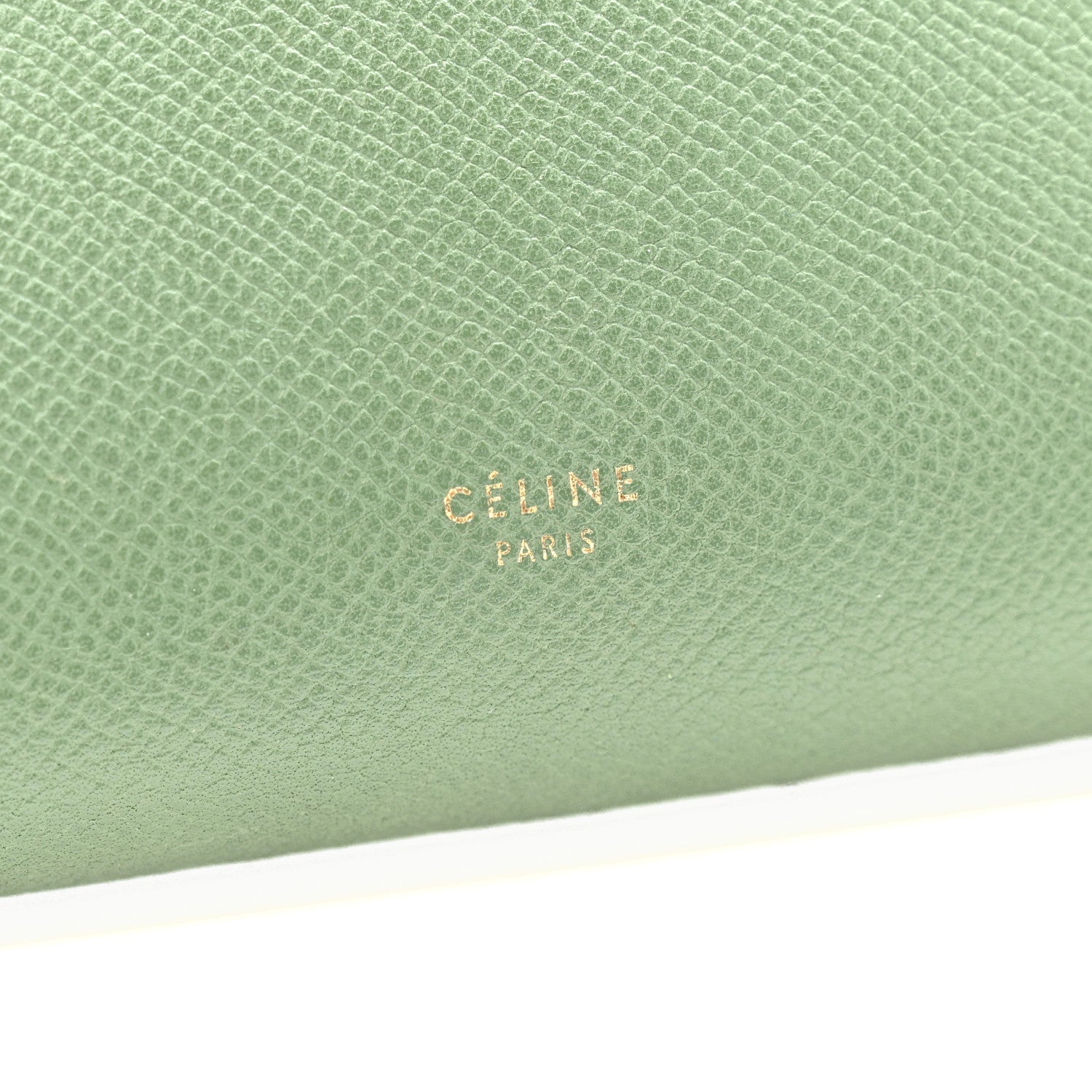 Grained Calfskin Mini Belt Bag Mint