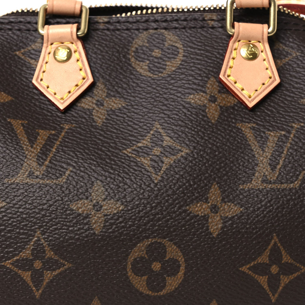 Monogram Nano Speedy