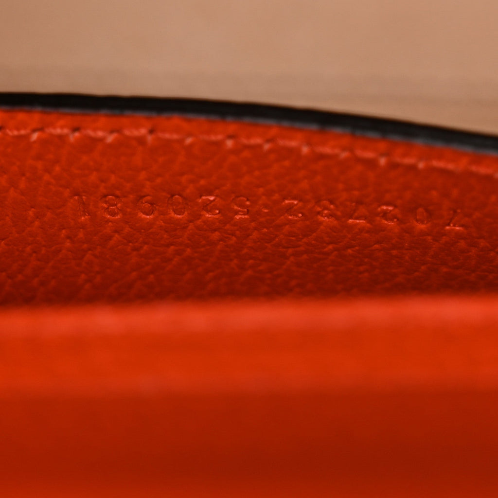 Textured Dollar Calfskin Web Mini Diana Tote Bag Deep Orange Spicy Cyclamin