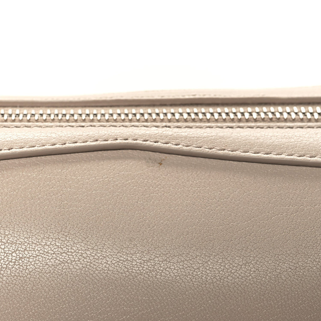 Shiny Goatskin Medium Le Teckel Bag Grege