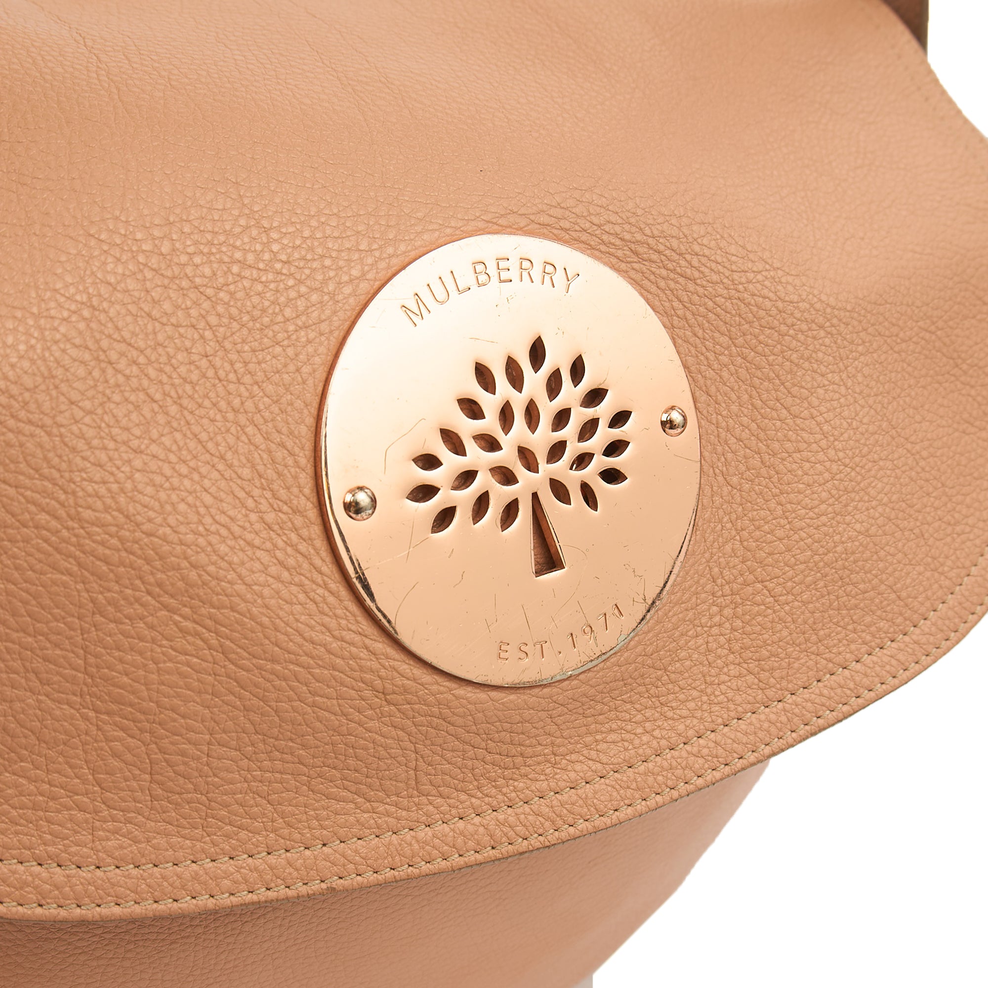 Mulberry Satchel Daria Hobo in Pink, Leather