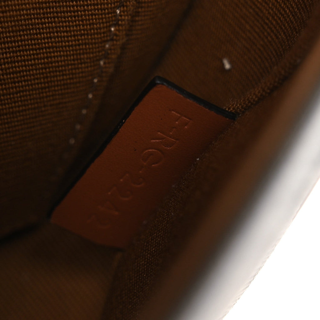 Canvas Calfskin Triomphe Mini Besace Tan