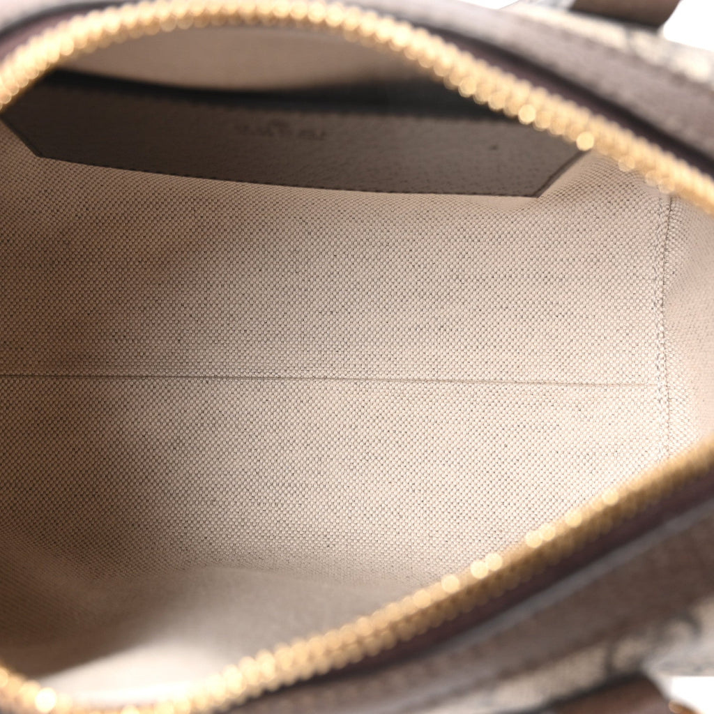 GG Supreme Monogram Textured Dollar Calfskin Web Mini Ophidia Top Handle Bag Beige Ebony New Acero