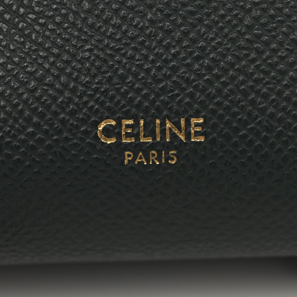 Grained Calfskin Nano Belt Bag Amazone