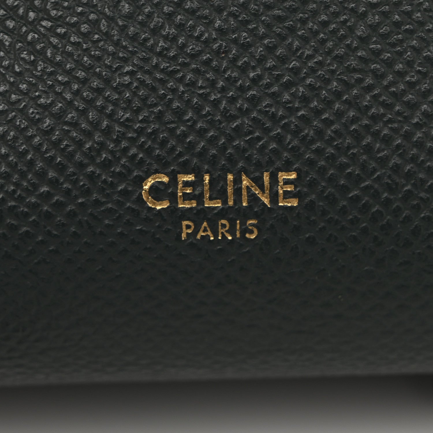 Grained Calfskin Nano Belt Bag Amazone