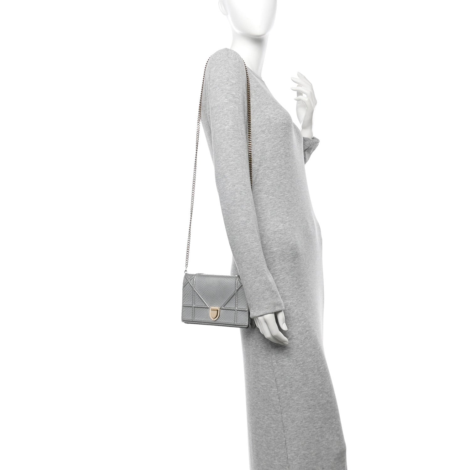 Snakeskin Diorama Wallet on Chain Pouch Silver