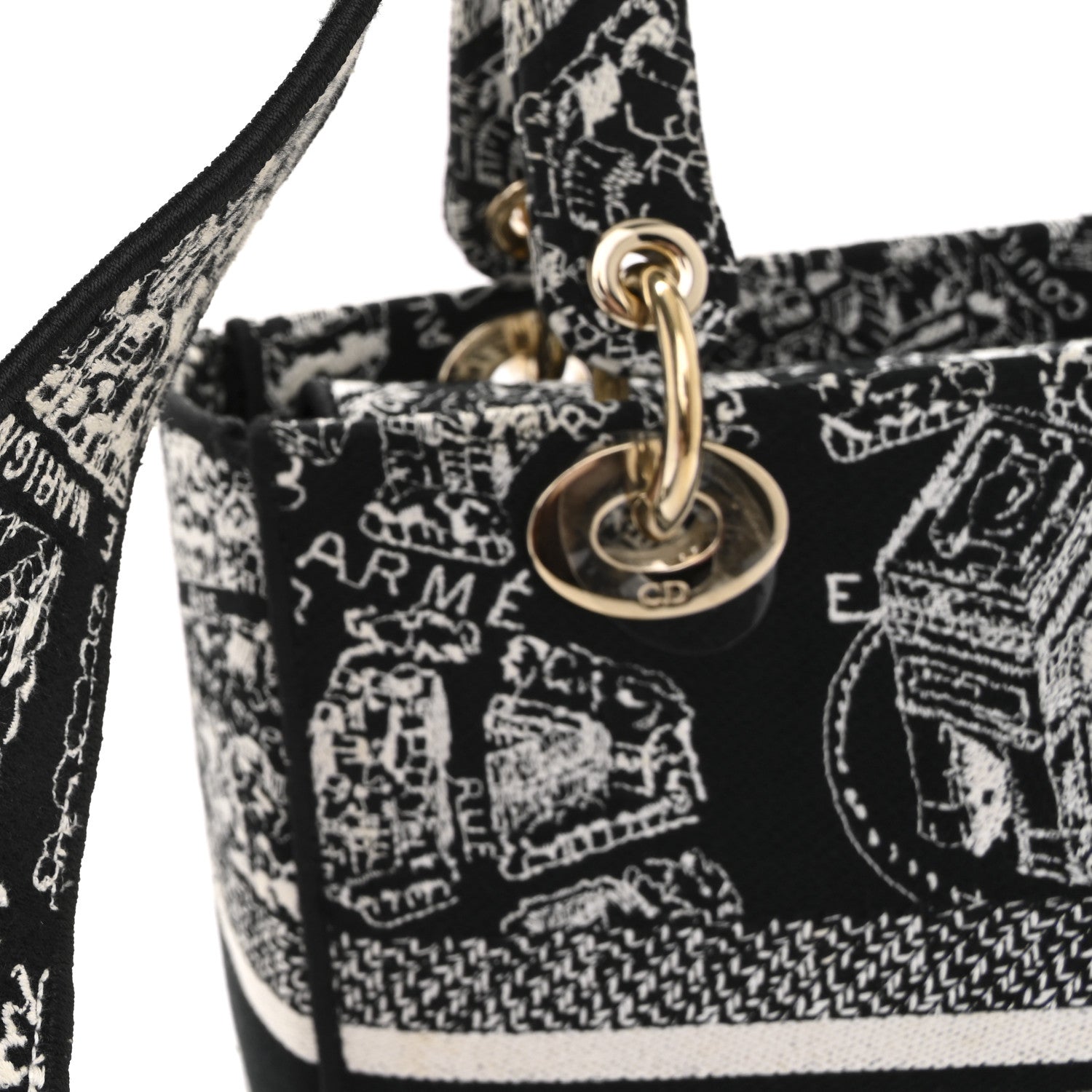 Canvas Embroidered Medium Plan de Paris Lady D-Lite Black White