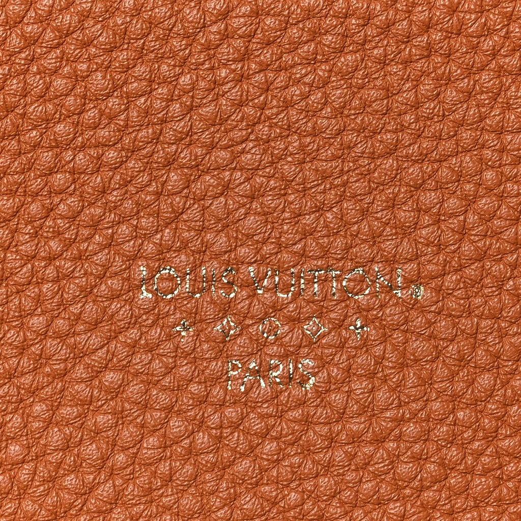 Grained Calfskin LV Pont 9 Soft MM Golden Siena