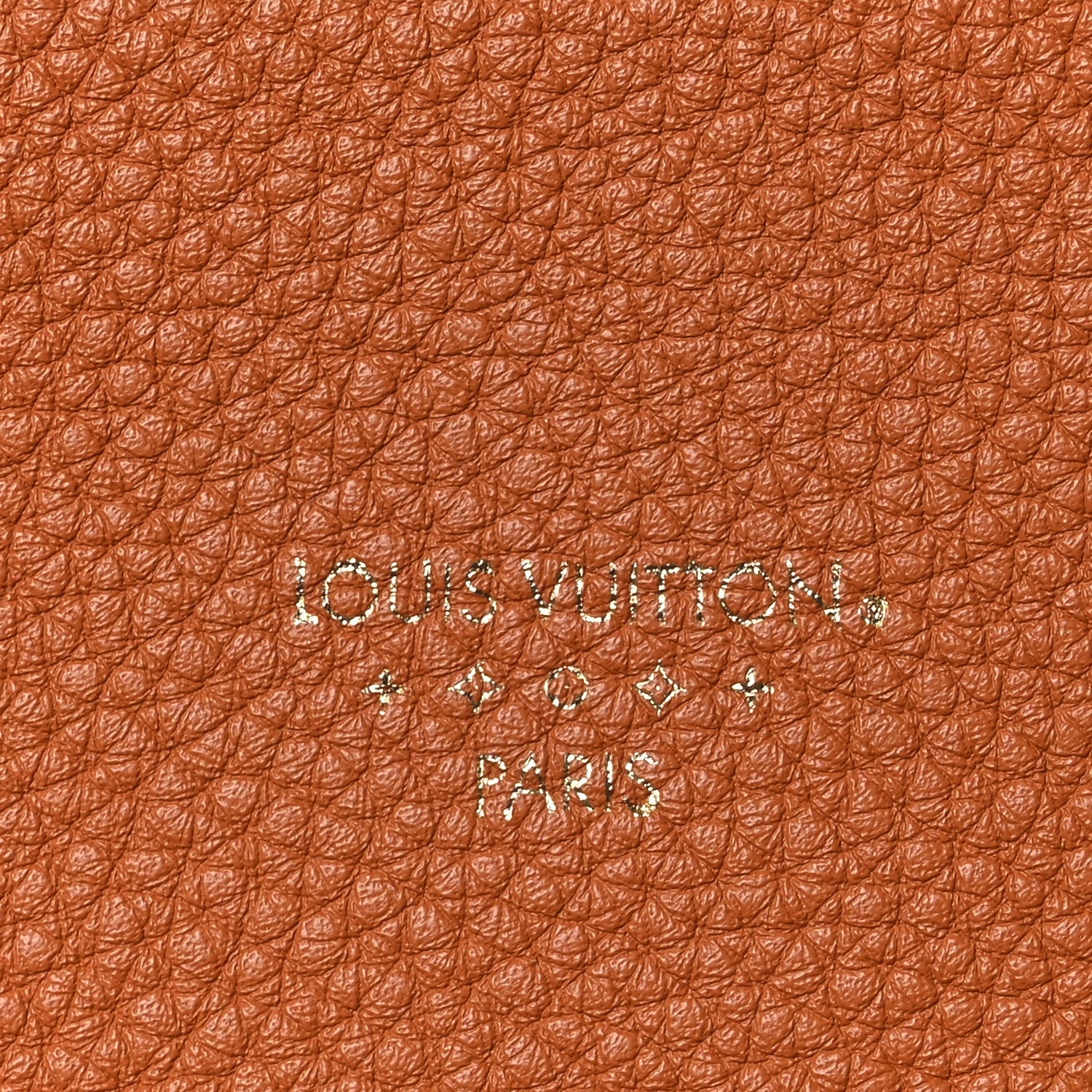 Grained Calfskin LV Pont 9 Soft MM Golden Siena
