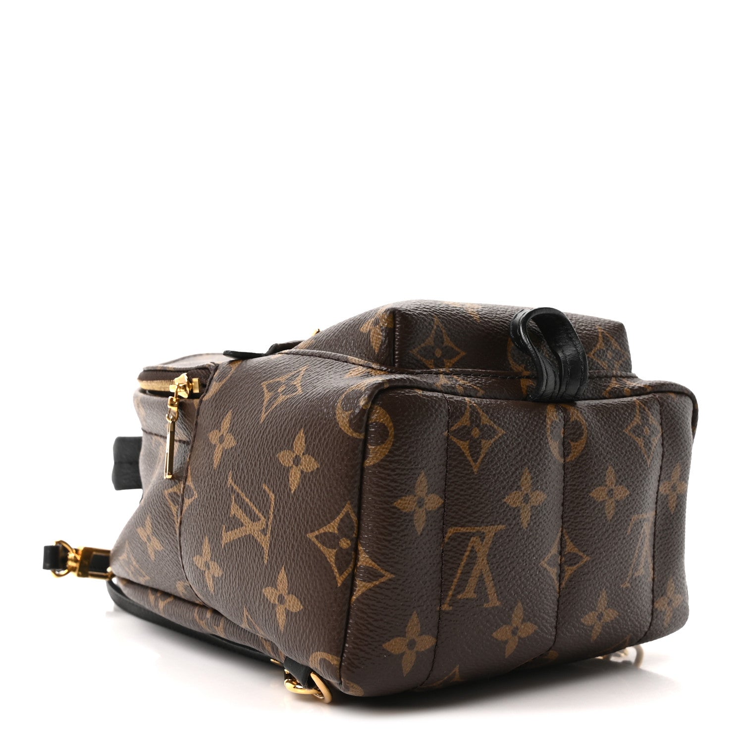 Monogram Palm Springs Backpack Mini