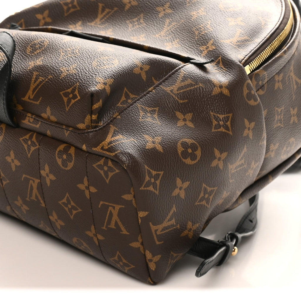 Monogram Palm Springs Backpack MM