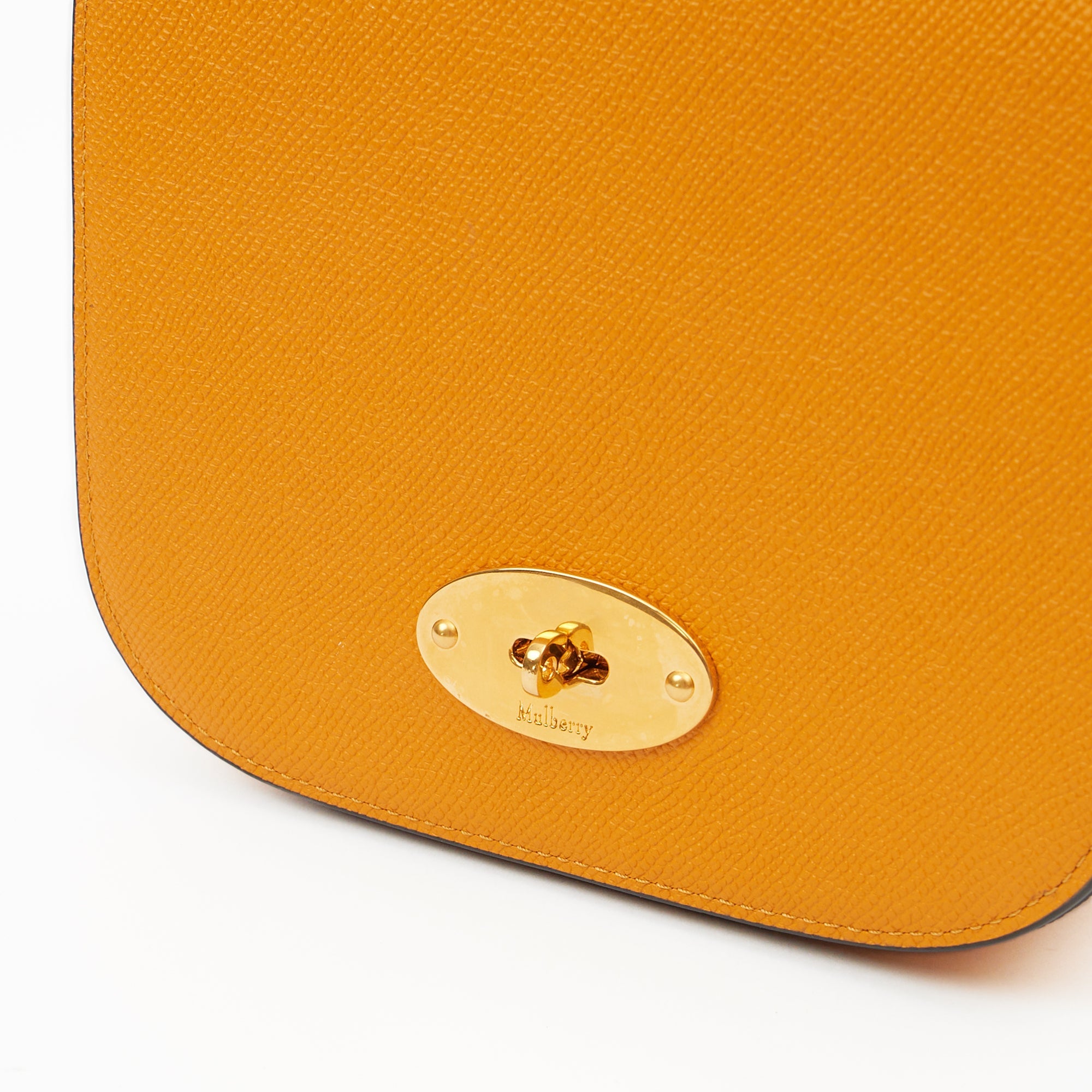Mulberry Cross Body Darley Shoulder Bag - Small  in Deep Amber, Leather