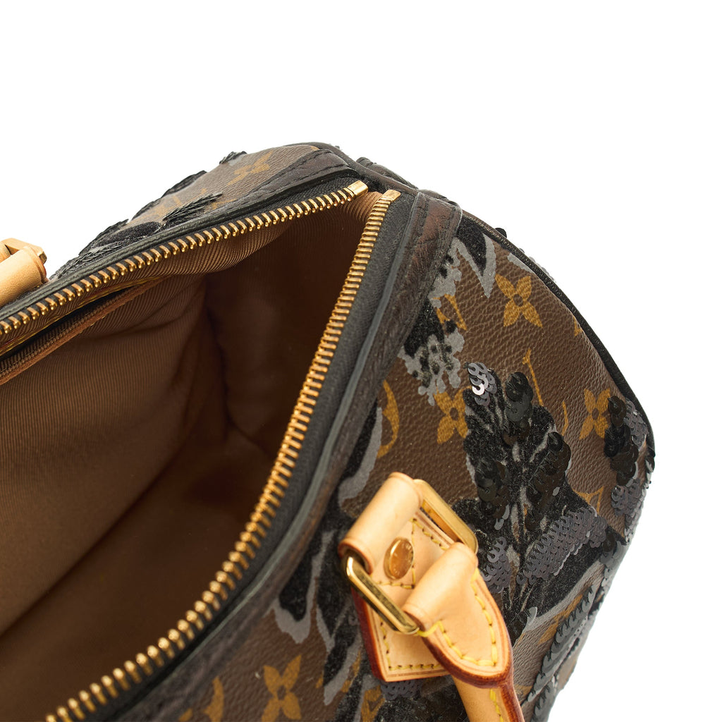 Louis Vuitton Tote Speedy 30 in Monogram, Canvas