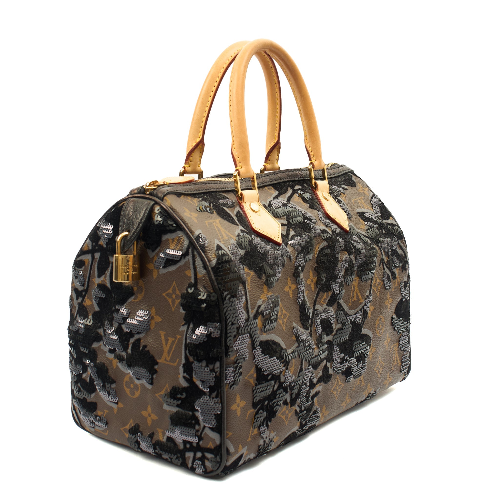Louis Vuitton Tote Speedy 30 in Monogram, Canvas