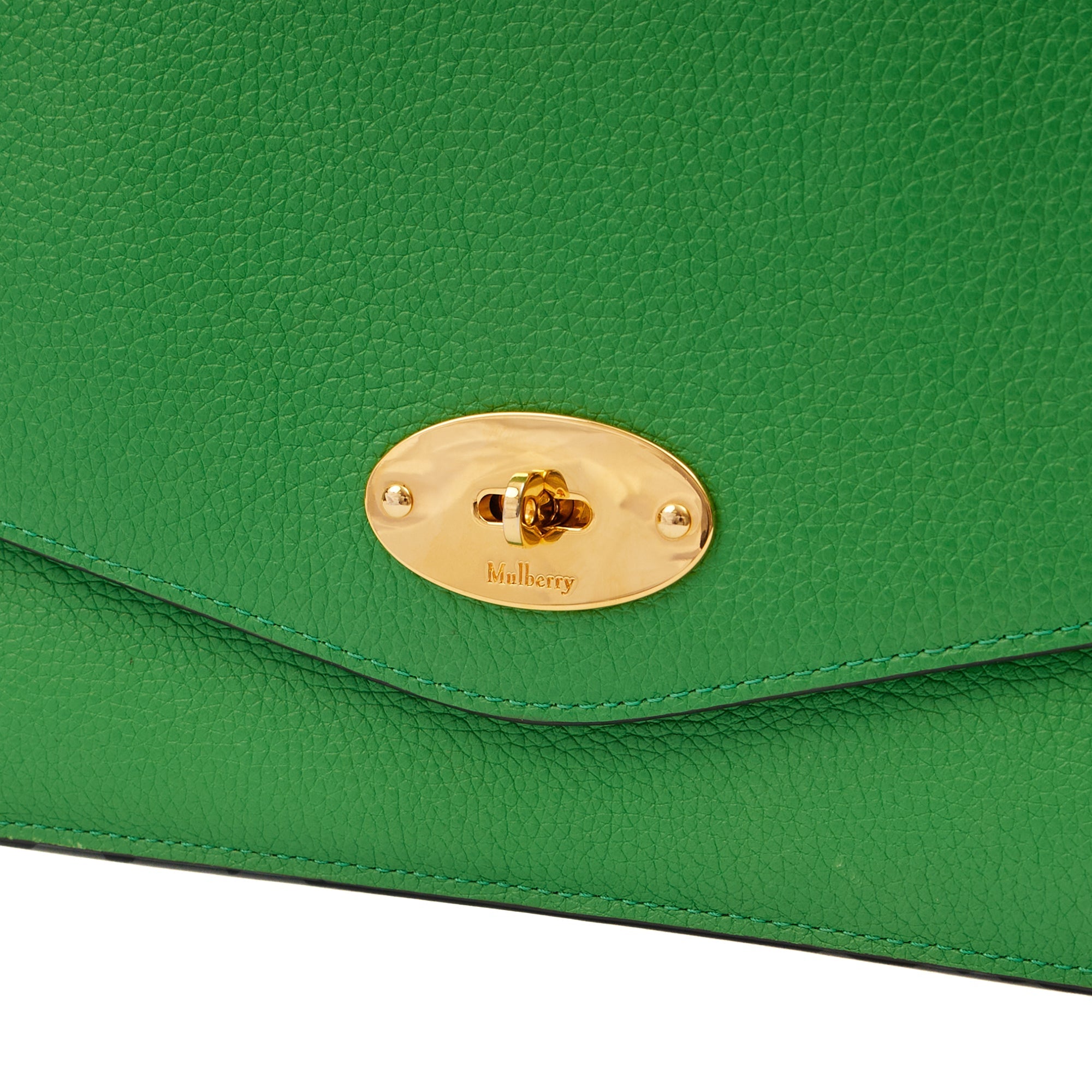 Mulberry Shoulder Bag Darley Shoulder Bag  in Green, Leather