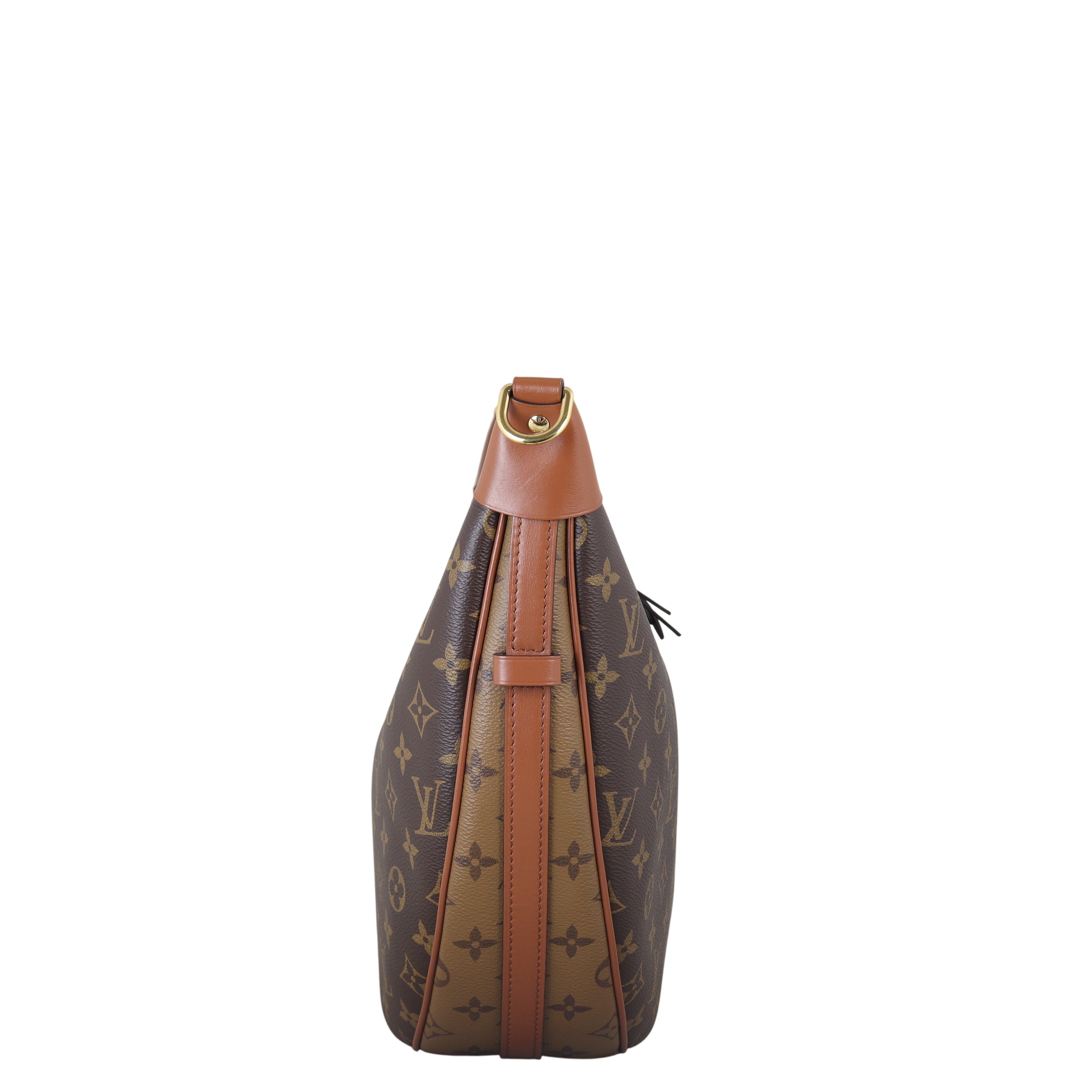 Louis Vuitton Loop Hobo Monogram