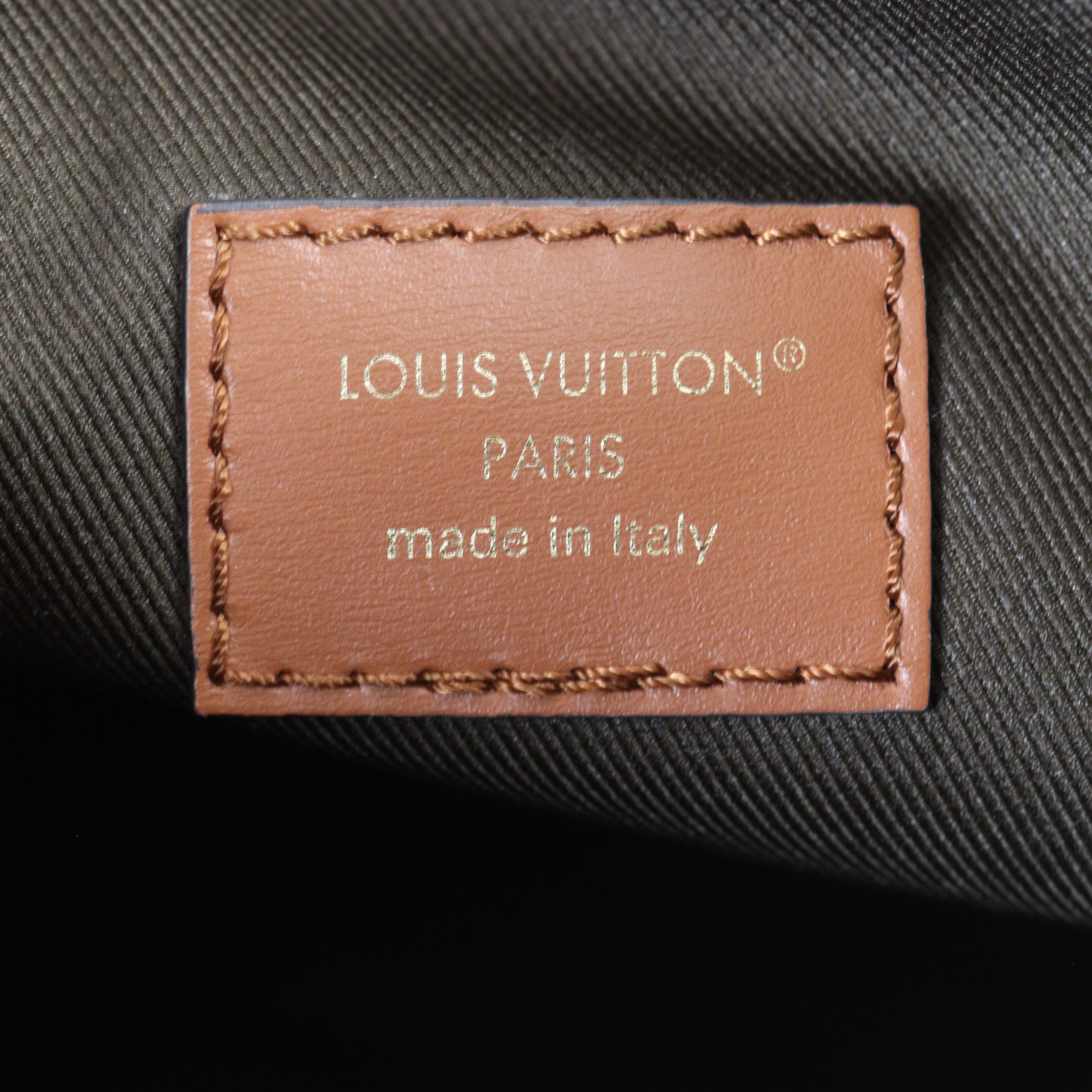 Louis Vuitton Loop Hobo Monogram