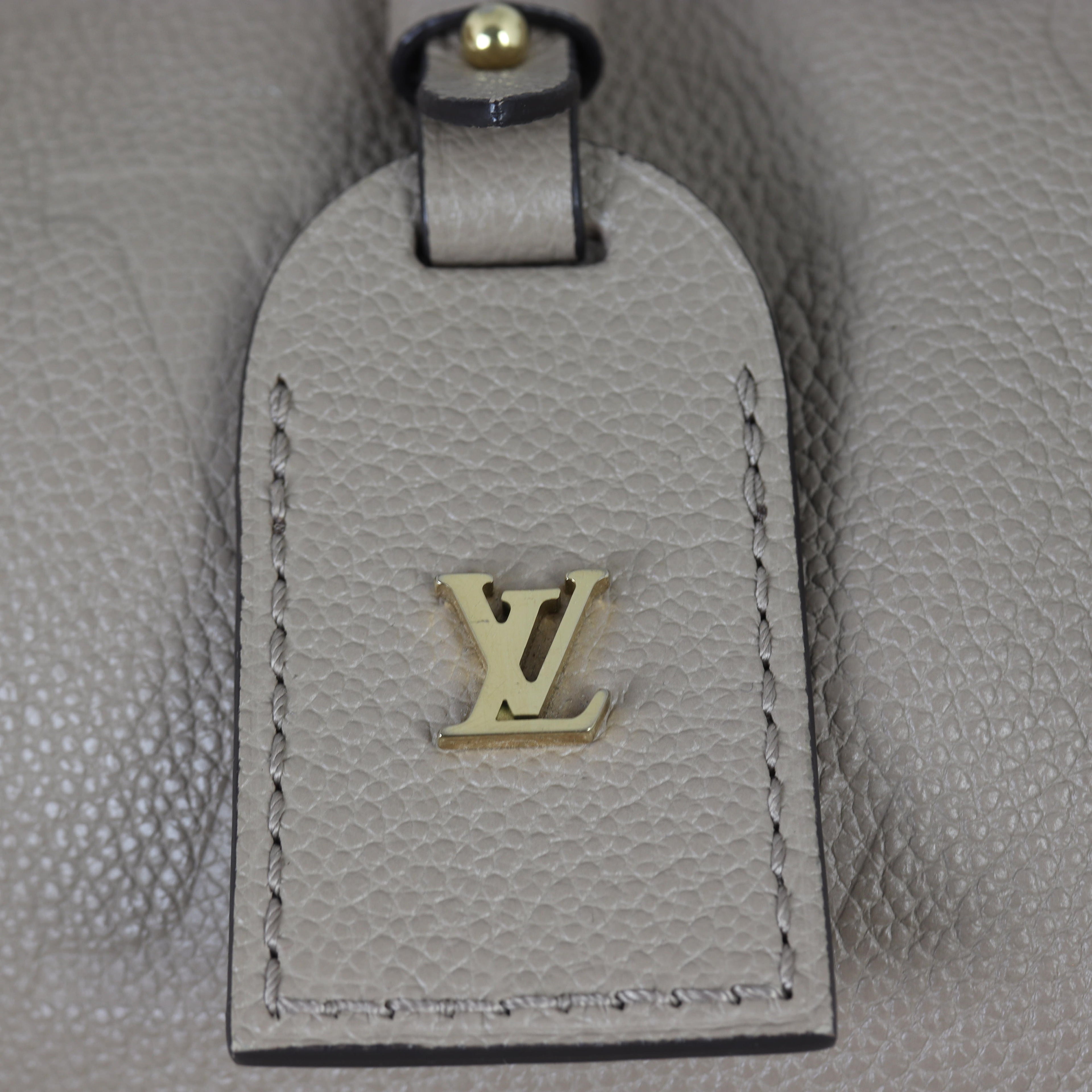 Louis Vuitton CarryAll MM Monogram Empreinte Giant