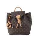 Louis Vuitton Montsouris PM Backpack Monogram