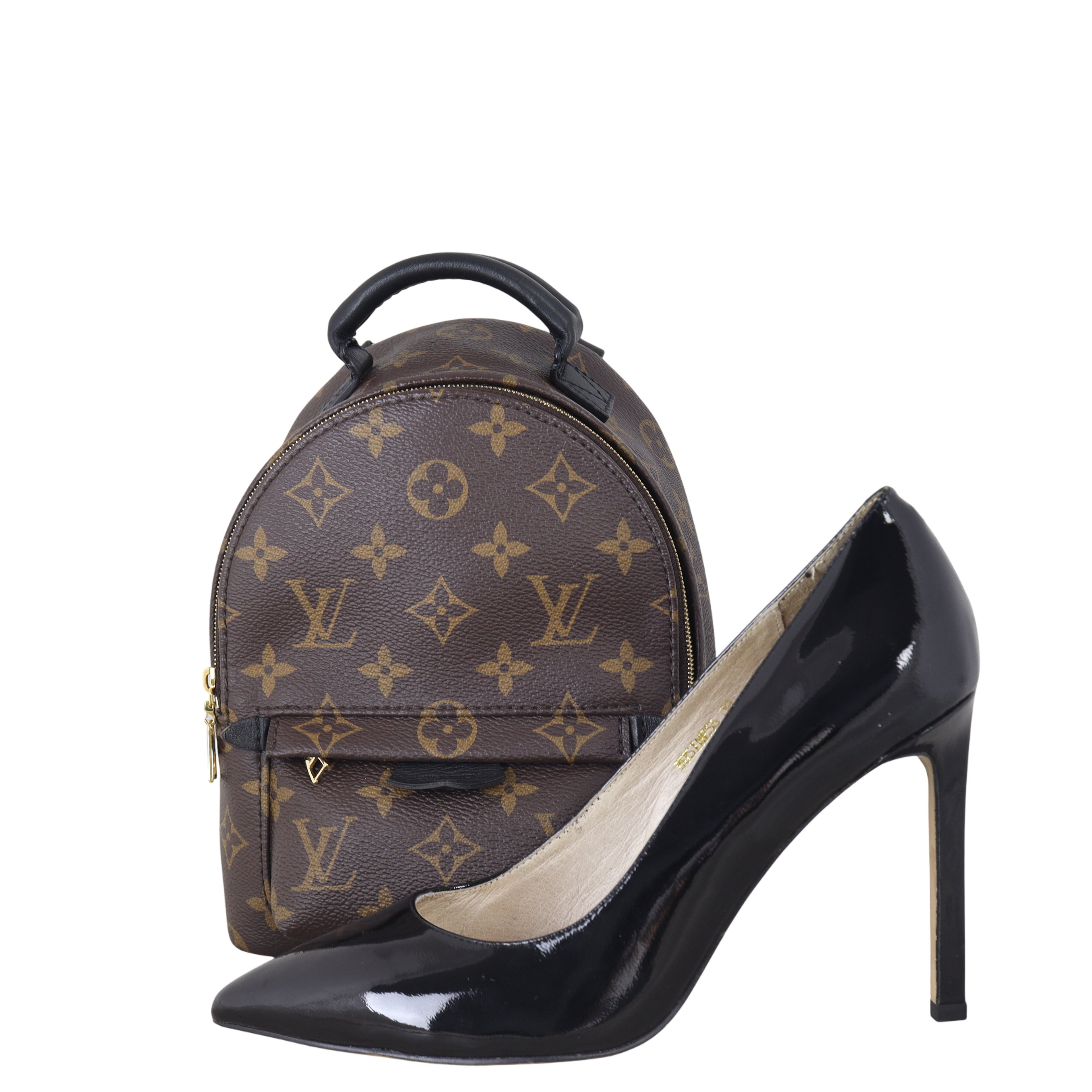 Louis Vuitton Palm Springs Mini Backpack Monogram